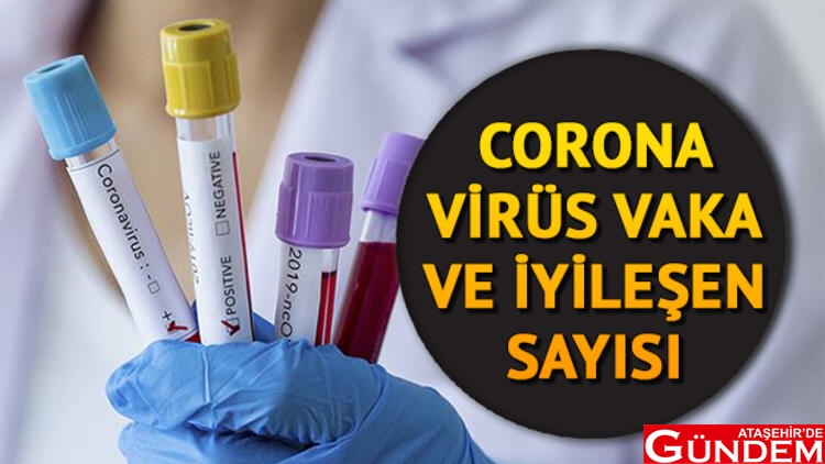 VAKA VE CAN KAYBI SAYISINDA ARTIŞ KORONA VAKA 23 MAYIS